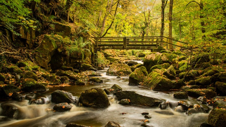Wooden bridge crossing a rocky stream in autumn woodland
